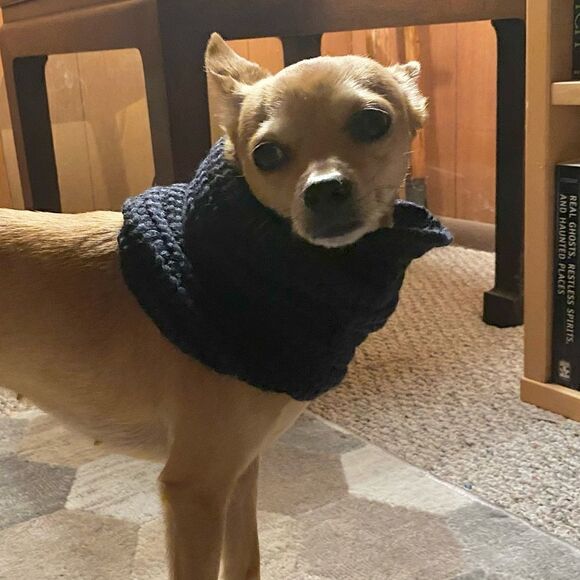 🎈Chunky Knit Infinity Dog Scarf - Picture 5 of 7